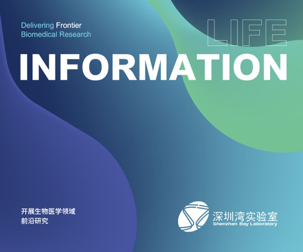 石河子VI設計首選_專業品質值得信賴