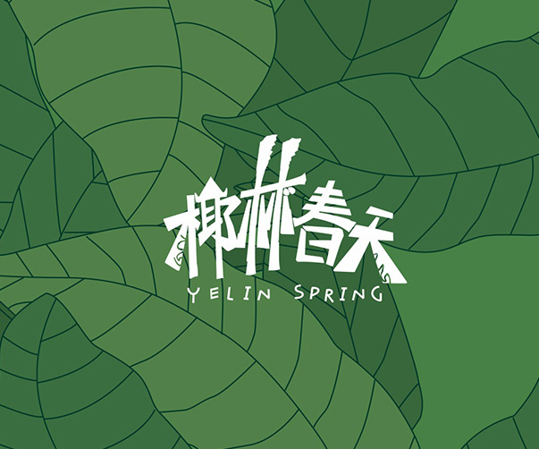 品牌標志與VI設計專家分享最佳設計實踐