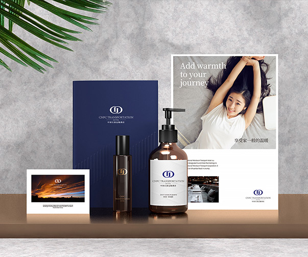 天津VI整套設計方案_解析設計案例